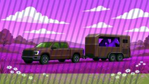 Ford Category Page