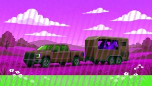 Honda Element Towing Capacities